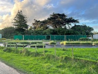 a field of plants with a fence in the background